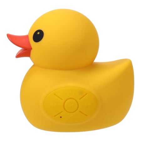 Duck Water Speaker